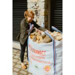 Kiln dried hardwood CHUNKY logs - Standard Length